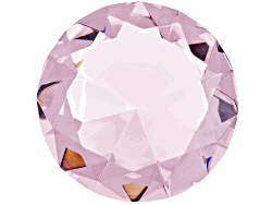 COL225E