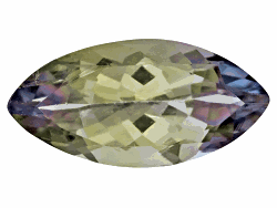 OCM005