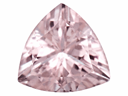 ACTBG23598