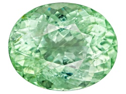 XTG2568