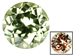 DZR005