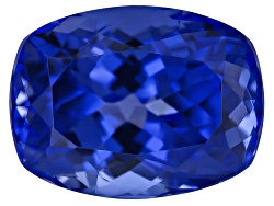GSL1006